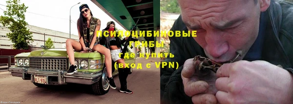 сатива Великий Новгород