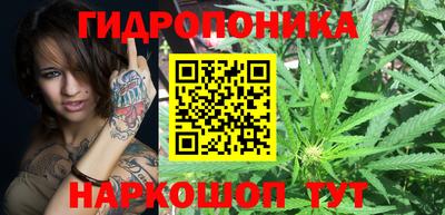 молекула духа Уссурийск