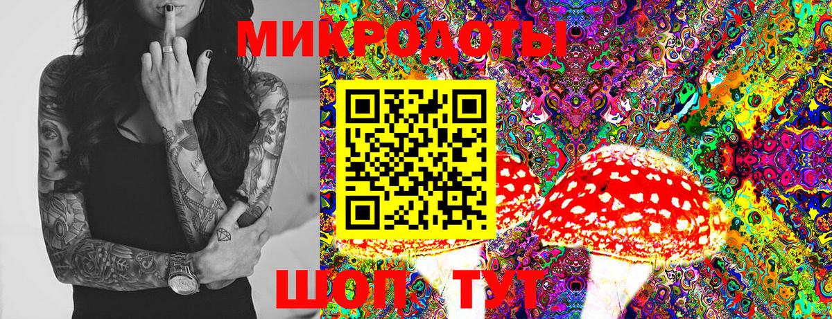 Псилоцибиновые грибы Cubensis Североуральск